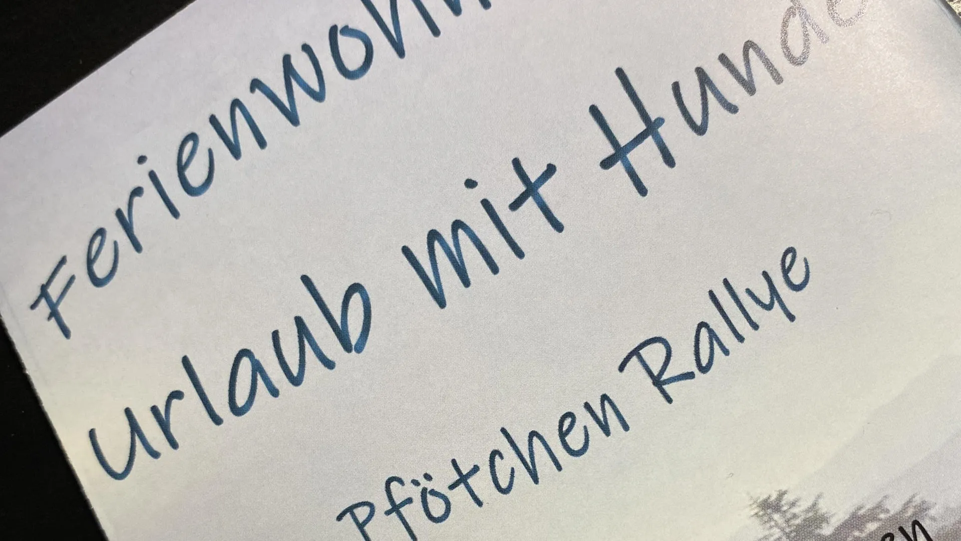 Pfotchen_Rallye